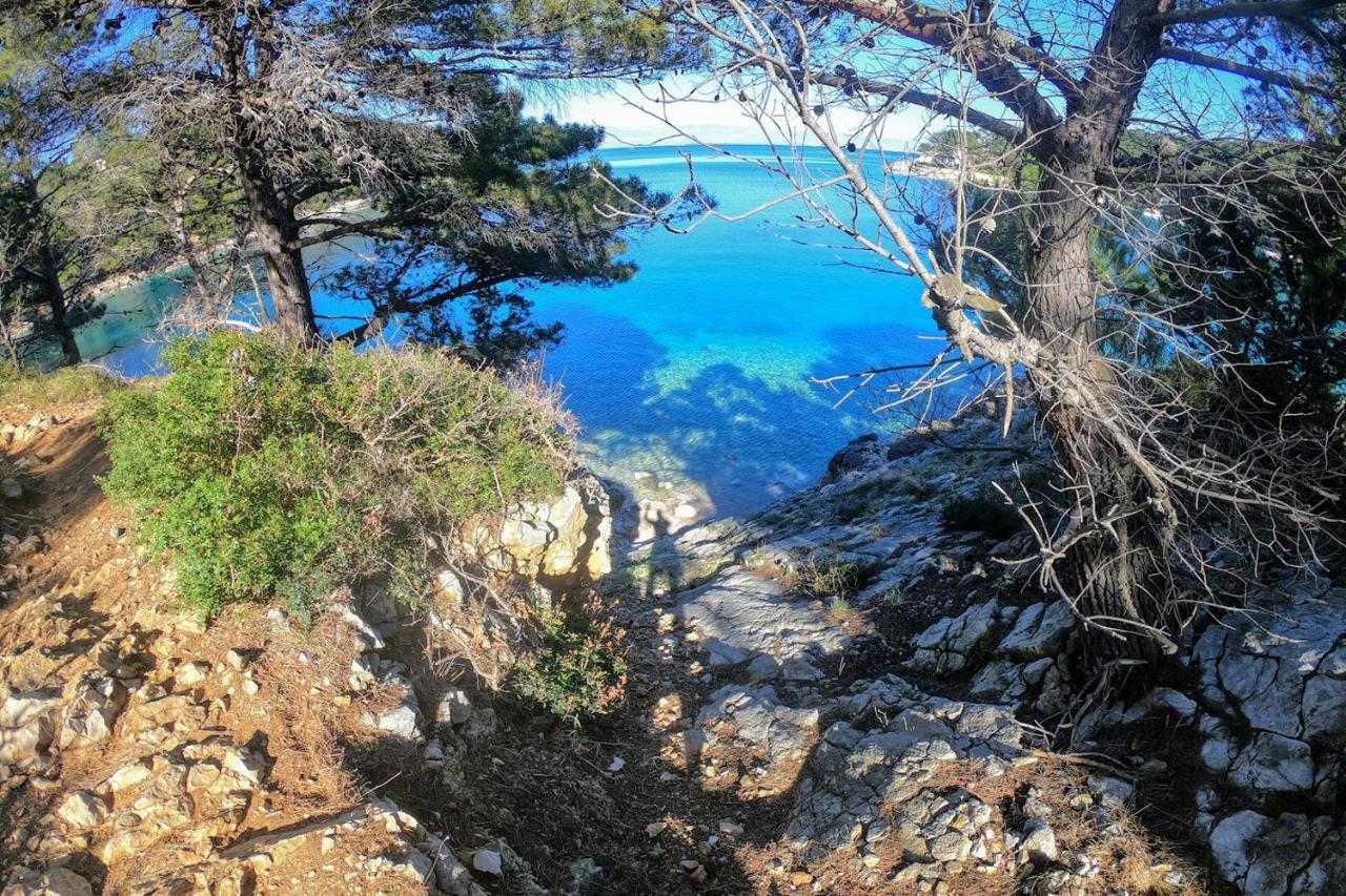 Amaryllis Residence, Apartment Diana & Deluxe Rooms With Shared Kitchen Veli Lošinj 外观 照片