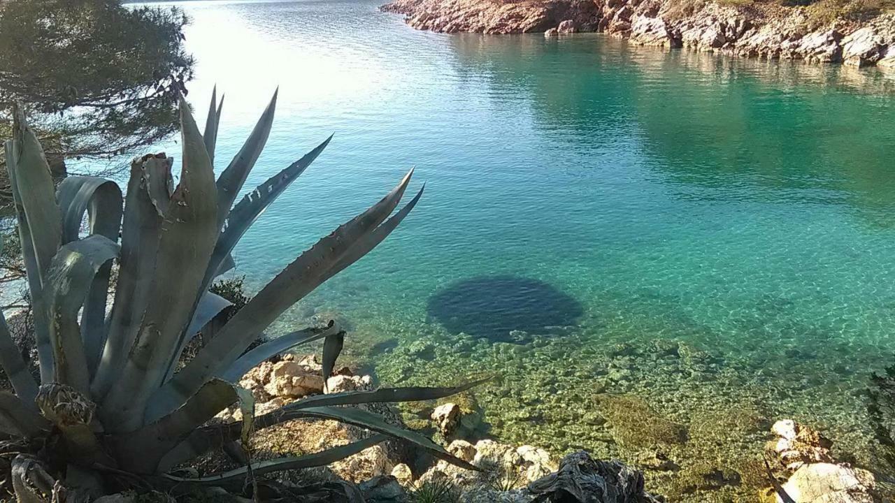 Amaryllis Residence, Apartment Diana & Deluxe Rooms With Shared Kitchen Veli Lošinj 外观 照片